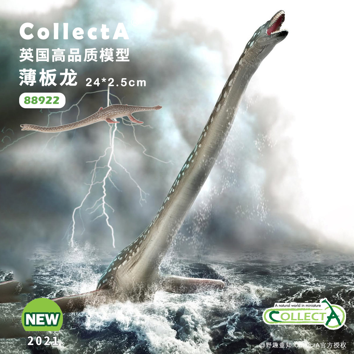 CollectA薄板龙动物模型玩具