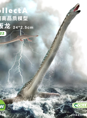 【88922薄板龙】CollectA动物模型儿童认知仿真玩具早教礼物
