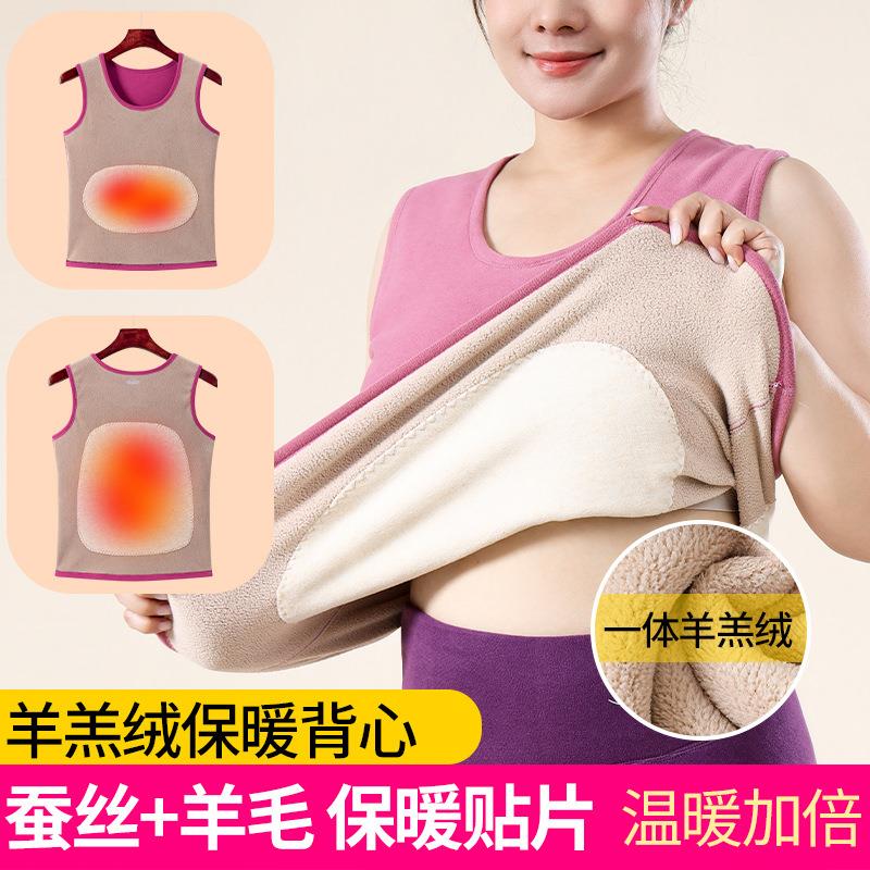 保暖背心女款冬季加绒德加厚2025新款秋冬中老年人妈妈防寒保暖衣