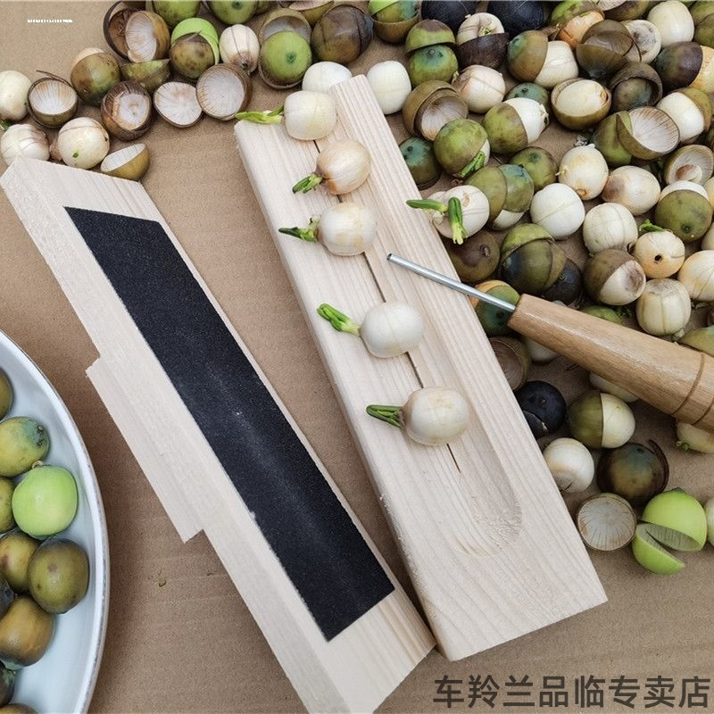 松子去核切去实用新型去皮手工榛子莲蓬外壳剥壳机板栗莲子开口器