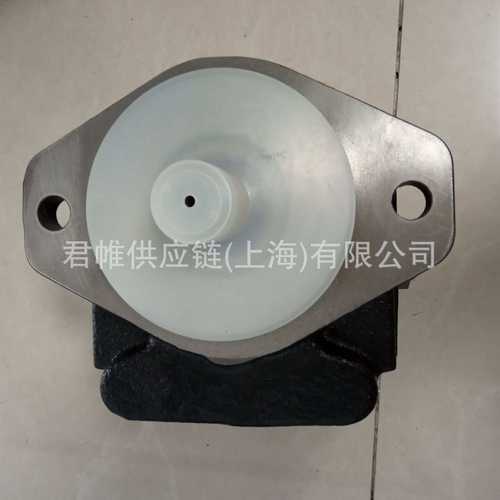 价格需核实 CASAPPA  分流马达 型号：PLD20/2/CS-GE/16-GD/16-GD