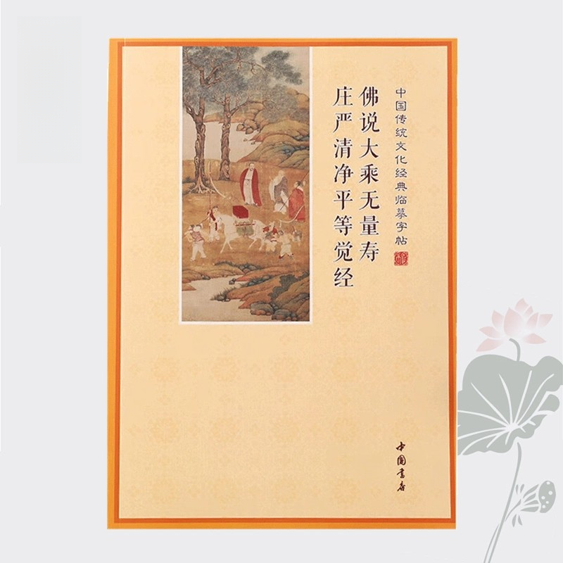 临摹大乘无量寿庄严清净平等觉经抄写本观无量寿经书法描红练字帖