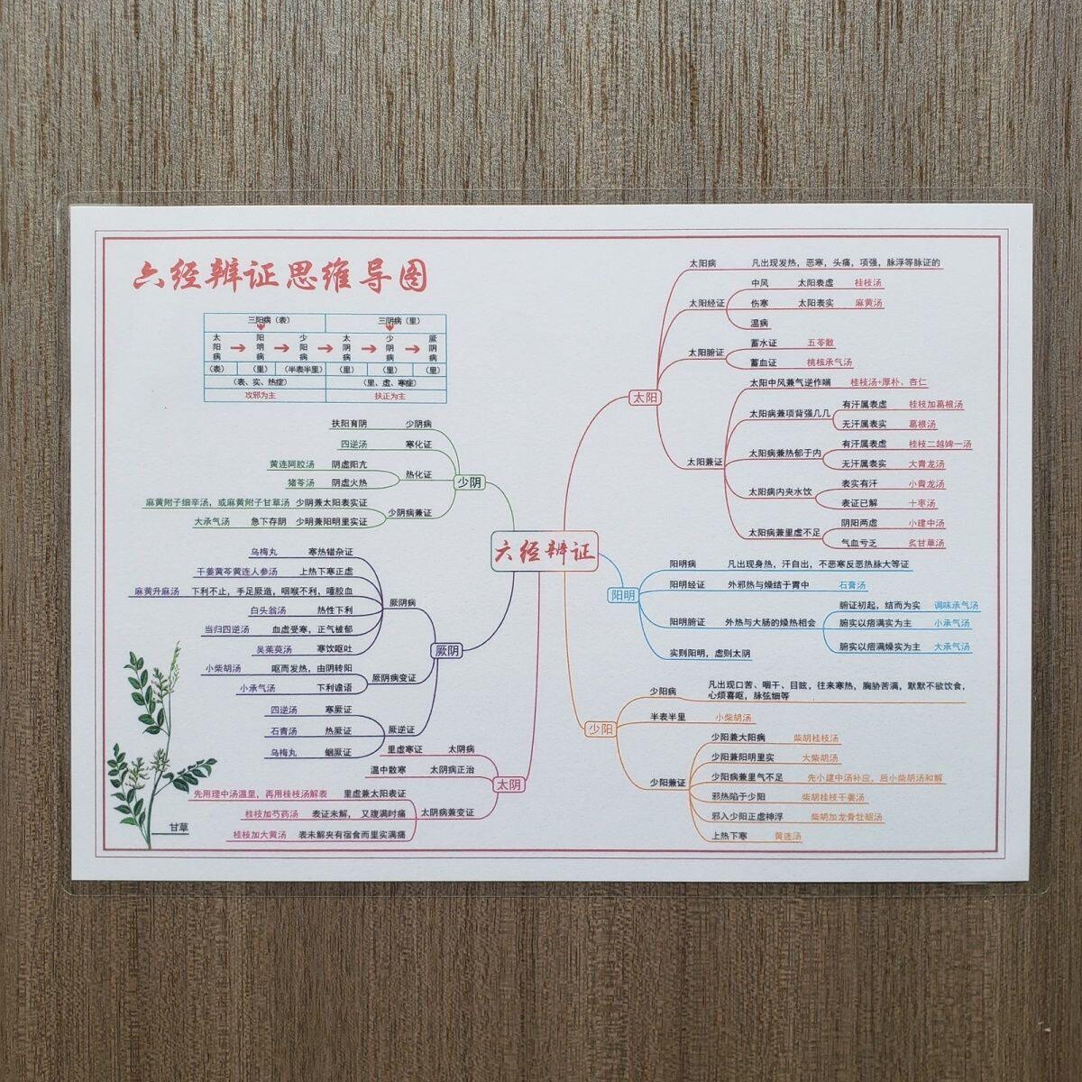 中式现代六经辨证中医六经挂图塑A4防水塑封挂图认知卡