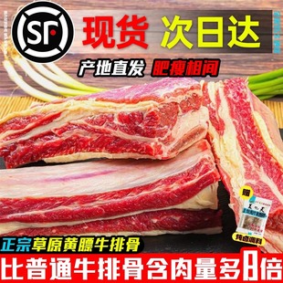 10斤黄膘牛排内蒙原切扇子骨牛排骨新鲜带肉牛肋排生鲜牛仔骨牛肉