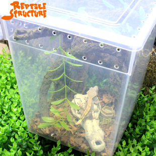 树栖型爬虫箱睫角守宫饲养箱蛇类螳螂树蛙蜘蛛高箱大号饲养盒包邮