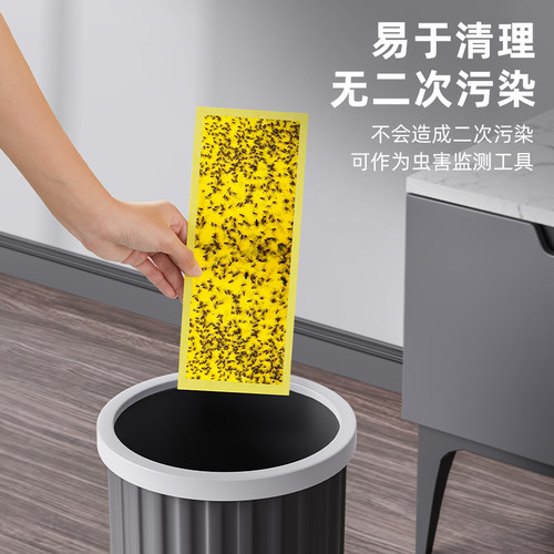 木之林灭蝇纸10张装适用于粘捕式灭蝇灯粘虫板强力粘蚊子苍蝇粘贴