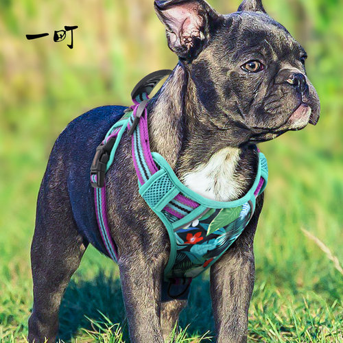 可提遛狗狗牵引绳胸背带背心式狗链小中大型犬宠物法斗柴犬狗绳子