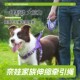 奈娃狗狗牵引绳遛狗绳子自动可伸缩防挣脱中小型犬泰迪柯基防爆冲