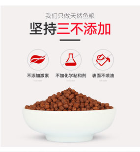 易赠红鹦鹉鱼食鱼粮血鹦鹉鱼食料饲料红财神鹦鹉增艳专用鱼粮包邮