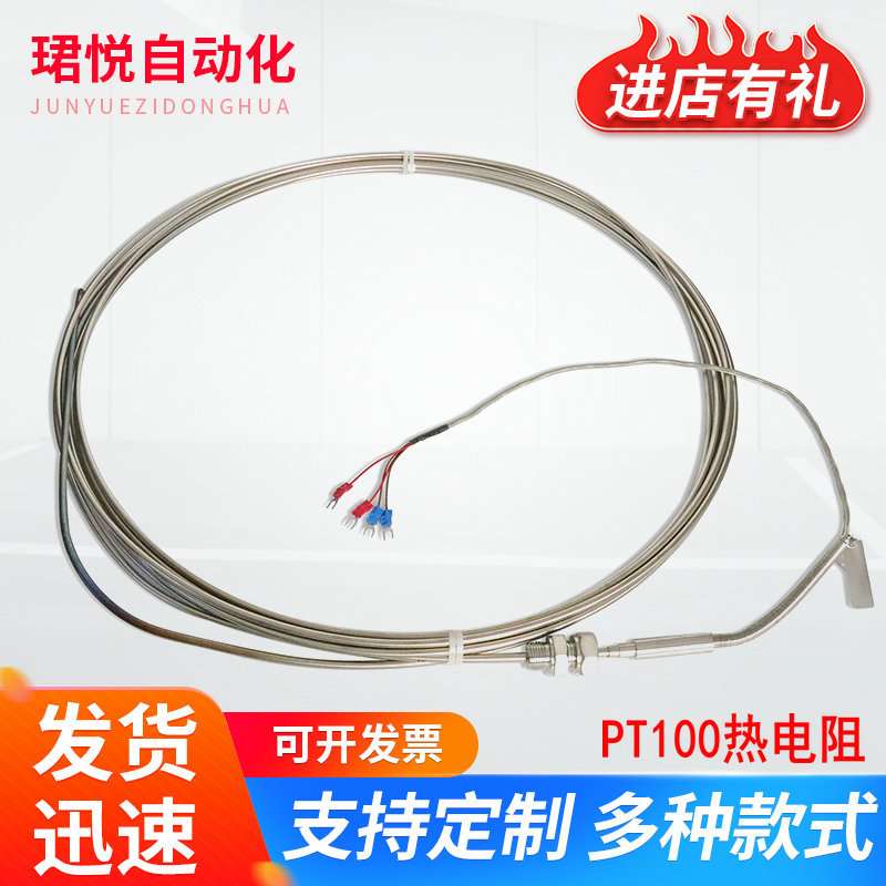 仪器仪表温度仪多功能pt100热电阻WZPM-201探头式热电偶厂家