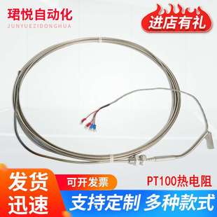 201探头式 仪器仪表温度仪多功能pt100热电阻WZPM 热电偶厂家