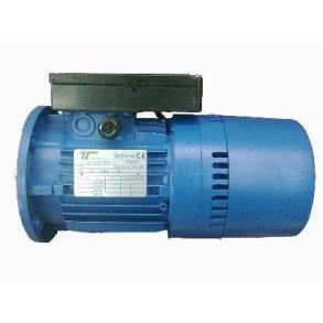 意大利Temporiti刹车马达 Temporiti进口电机 REBM100B4