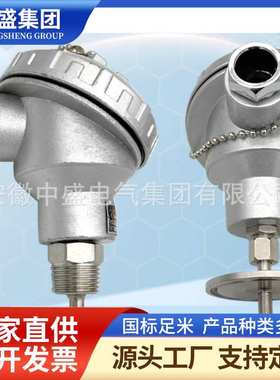 热电阻\WZGPK2-53P2AHG8000-M-2AZ1\PT100\8000\5\0~500℃\G1／2