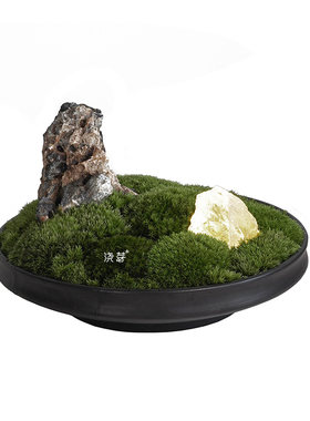 青峰日式g苔藓盆景盘子茶室案头摆件售楼处样板房创意盆栽