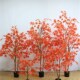 仿真红枫树大型落地盆栽酒店商场橱窗柜仿生绿植室内X外造景装 饰