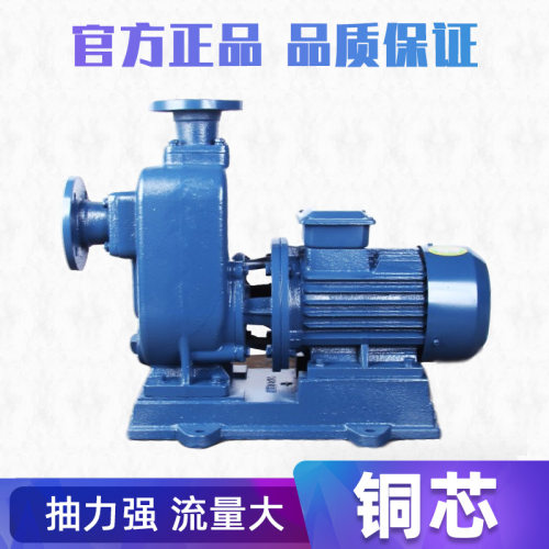 BZ直联自吸清水泵100BZ-45卧式离心泵80BZ-60家用抽水泵100BZ-40
