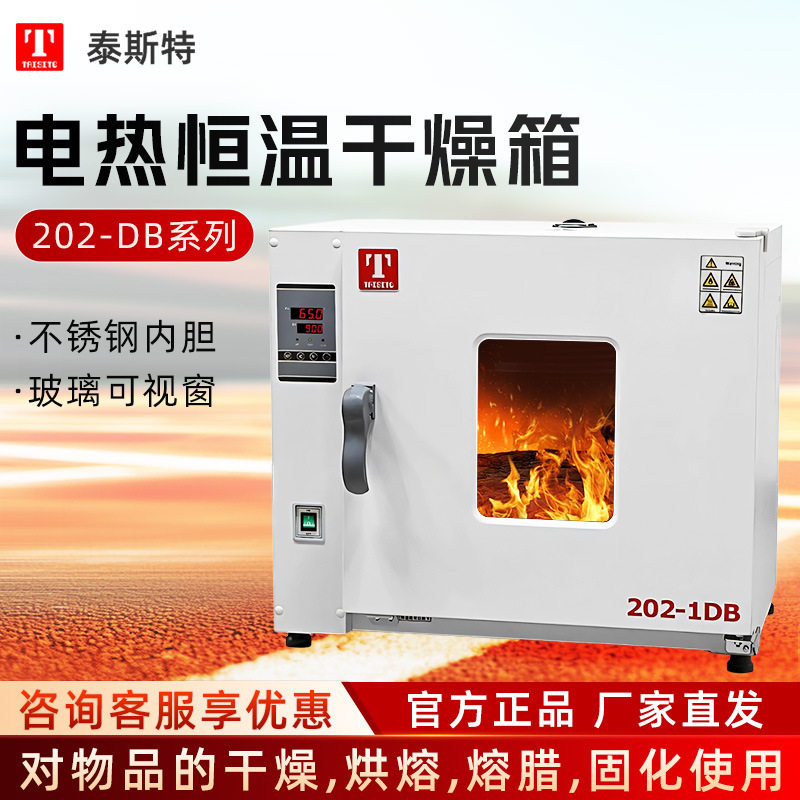 天津泰斯特 202系列 电热恒温鼓风干燥箱高温烘箱实验室现货