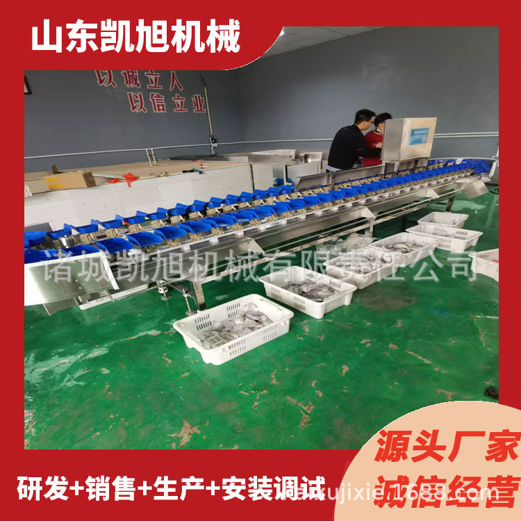 白条鸡白条鸭大小重量分拣机 家禽肉类自动动态称重分拣分级机器