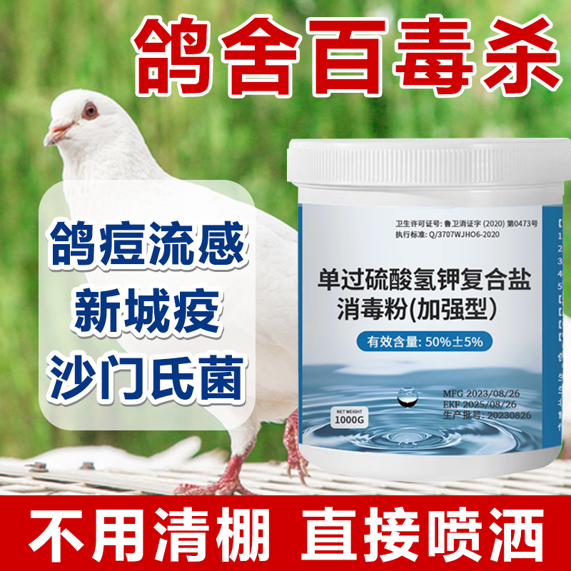 鸽舍专用消毒液过硫酸氢钾消毒粉喷雾剂鸽舍棚不伤鸽子笼巢养殖场