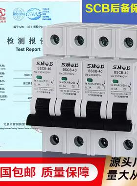 浪涌后备保护器SCB4P避雷器8/20浪涌SPD前端开关2P二级后备3P40KA
