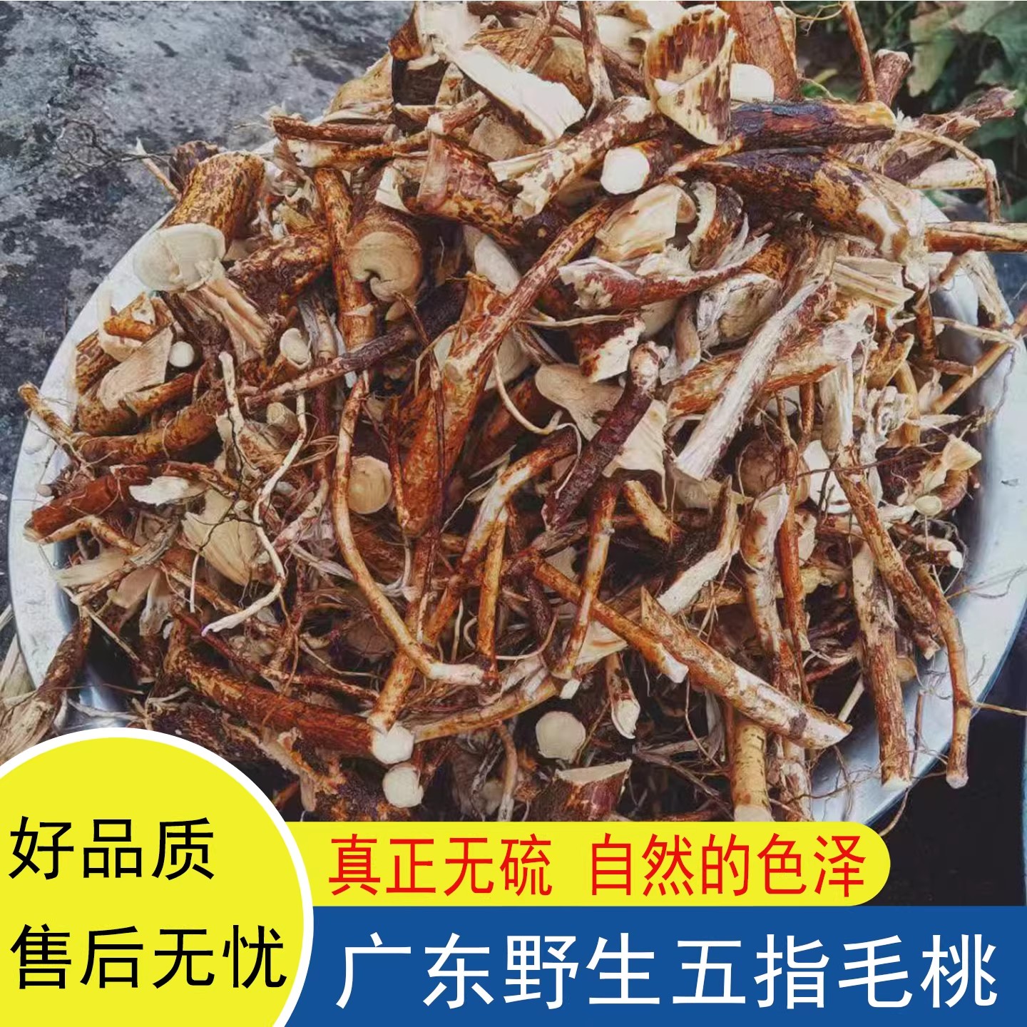 农家野生无硫五指毛桃根煲汤材料五爪龙新鲜干货五指牛奶纯野生