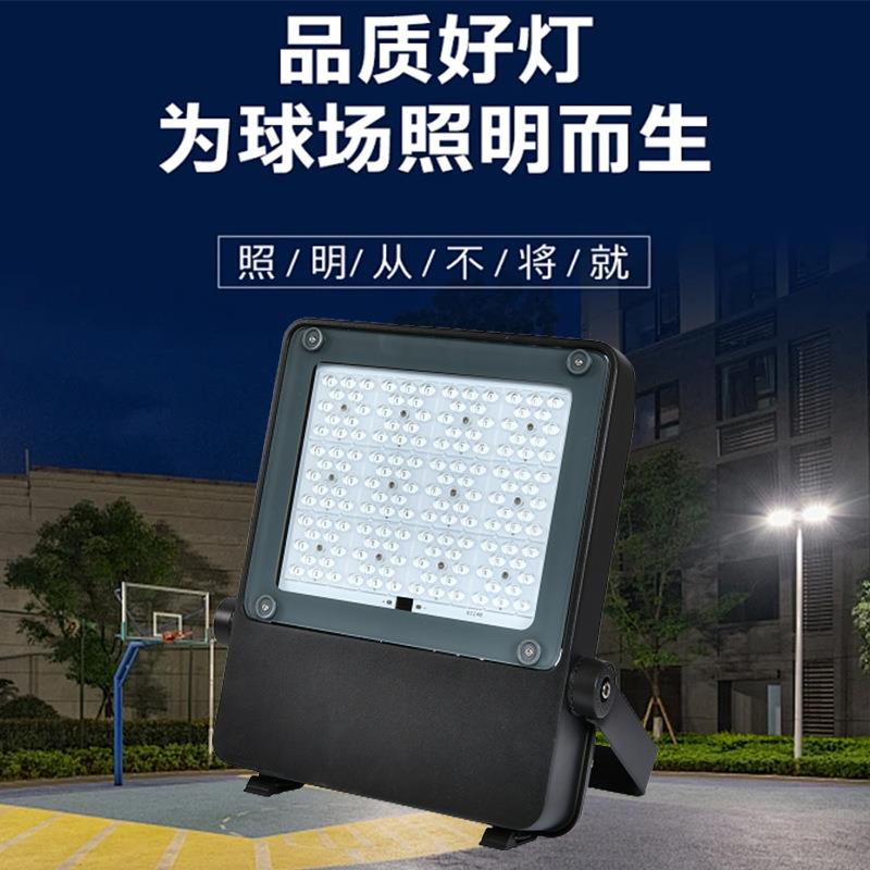 仿飞LED投光灯100W200W新农村道路照明路灯户外防水小区庭院灯