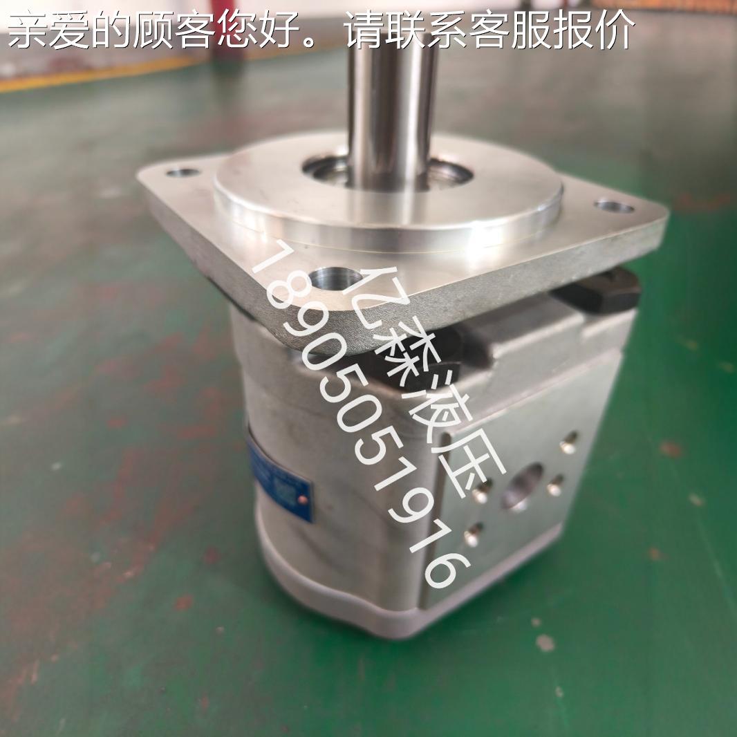 赛CBG-2080肥SY齿轮泵CBG-2063-BF合HL型液压源泵高压大排量齿轮