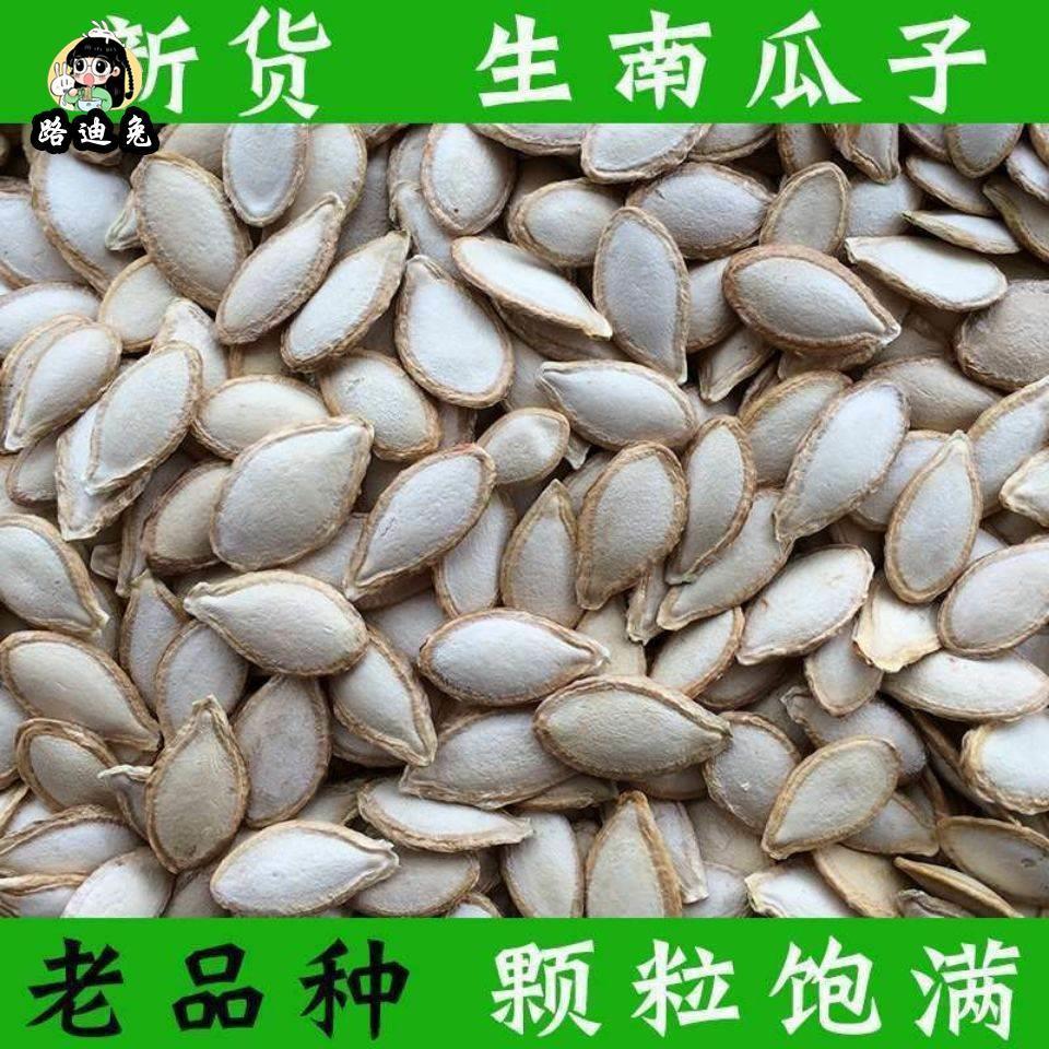 正宗生南瓜子土南瓜籽随州洪山特产农家南瓜子带壳原味新鲜生瓜子