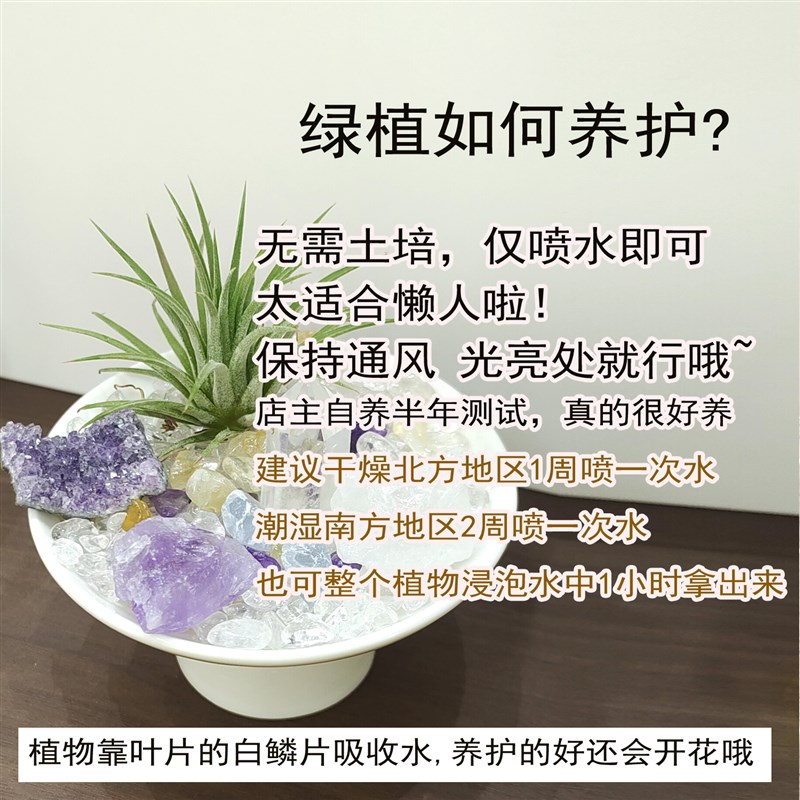 水晶盆栽l 能量水晶小盆栽/水晶盆景/工位搭档家居Y办公玄关摆件