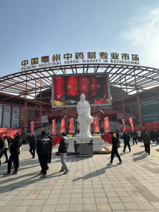 中药材店铺药材大全实体店品质中草药材昆虫类动物类大全