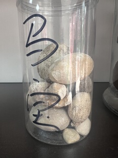 马宝中药材原材料 新货10克包邮 天然马粪石 马宝支持检测