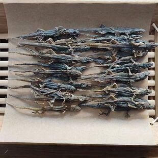 天，龙干中药材壁虎干粉守宫整条干壁 虎盒装一斤四脚蛇500克