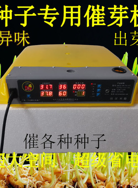 种子催芽机生化培养箱花生大豆催芽恒J温箱西瓜催芽器出芽机出芽