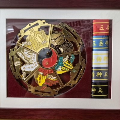 五岳奖牌收纳j展示装裱框实木摆台挂墙相框