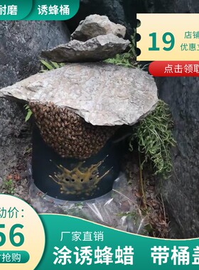 [10个装]诱蜂桶盖引蜂中锋意蜂桶黑色塑料桶野T外铺抓蜜蜂养蜂桶