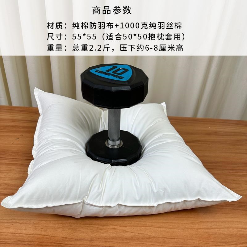 客厅沙发靠垫抱枕芯床上车用抱枕B全棉羽丝绒纯棉超软慢回弹方枕