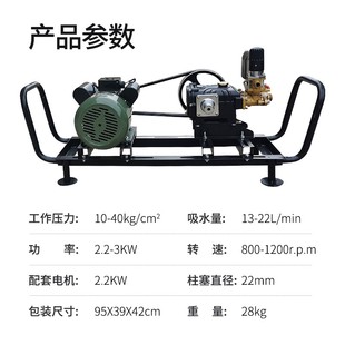 电动220Vg农用高压打药机果树喷雾器园林喷药机打药泵高压柱塞泵