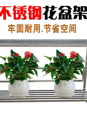 不锈钢阳台户e外防腐花架双层单层多层置物架多肉兰花特价花盆架