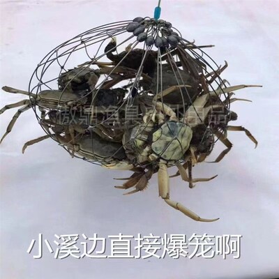 新款钓螃蟹笼子龙虾笼河蟹套海蟹圈鱼笼全M自动开合笼捕蟹神器海