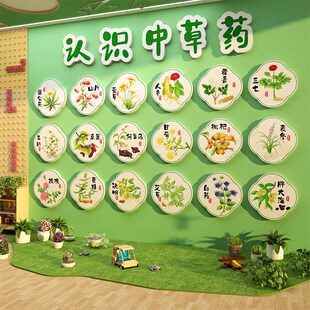 中草药贴画文化幼儿m园托管班教室墙面装饰走廊环创板材料主题成