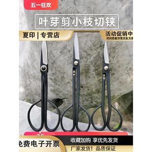 夏印剪刀修枝剪盆景修剪造型制作盆栽朱记叶芽剪树枝剪刀园艺工具