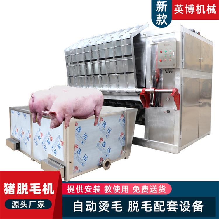 生猪烫池刨毛机 自动化屠宰流水线不锈钢脱毛设备 整猪牛羊打毛机