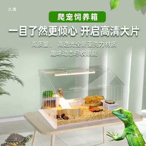 爬宠饲养箱蜥蜴守宫养殖箱PVC陆龟蜘蛛造景箱角蛙居寄蟹鬃狮