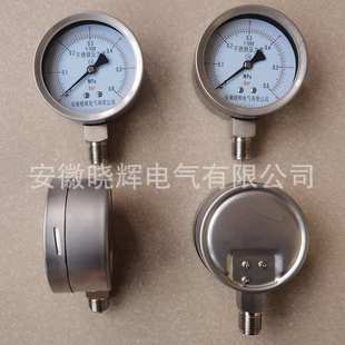 1.5螺纹安装 100B不锈钢压力表M20