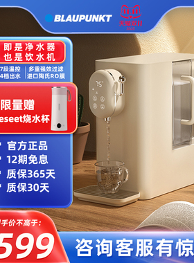 德国蓝宝台式净饮机加热一体净水器过滤即热式饮水机DM01