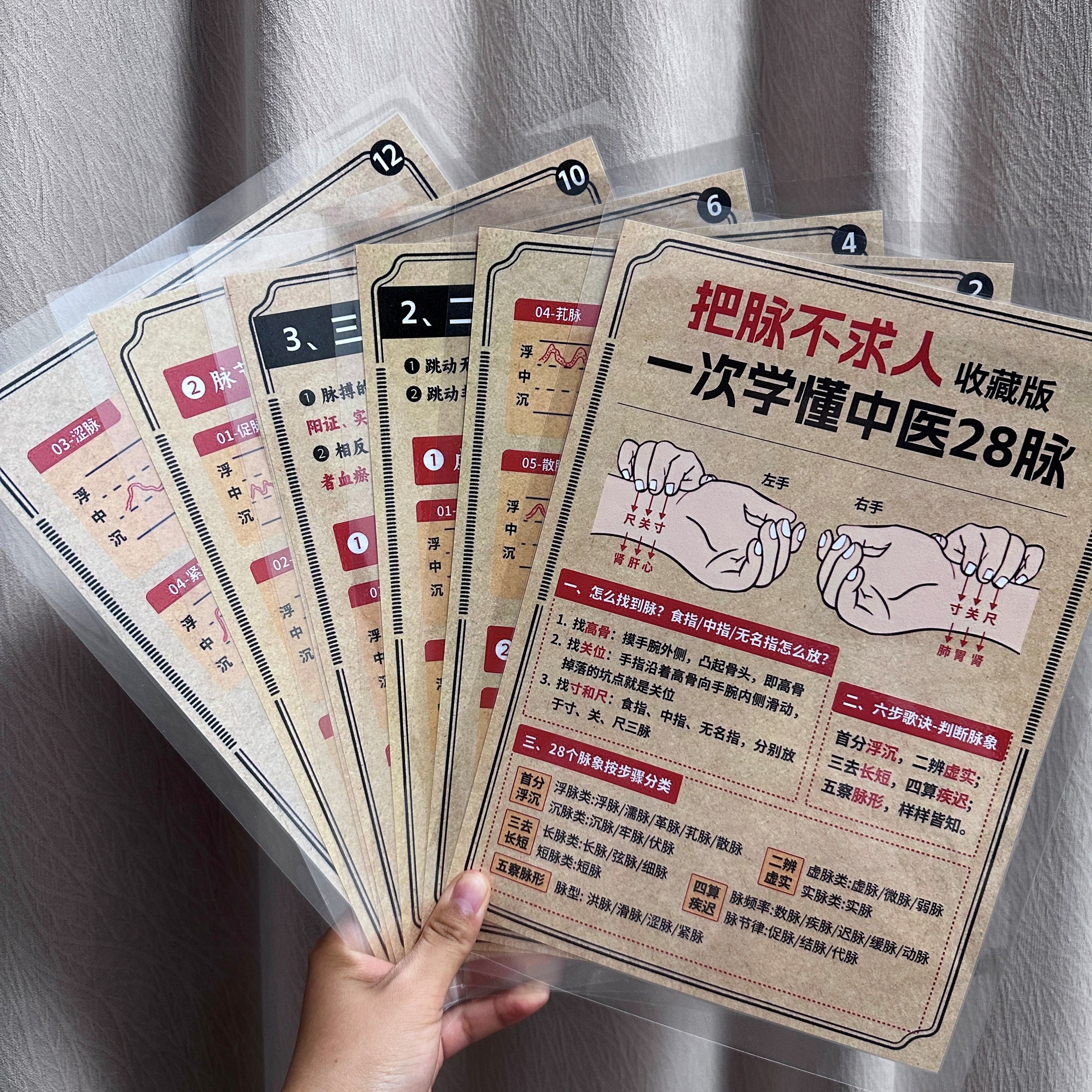 中医脉诊详解+100个万能