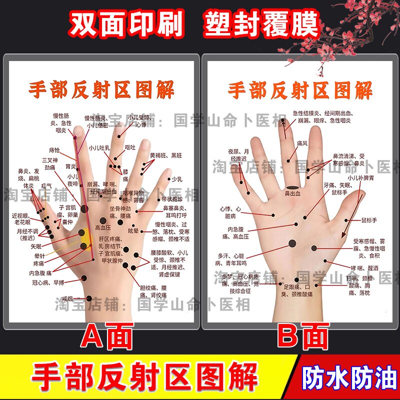 手部反射区图解中医养生