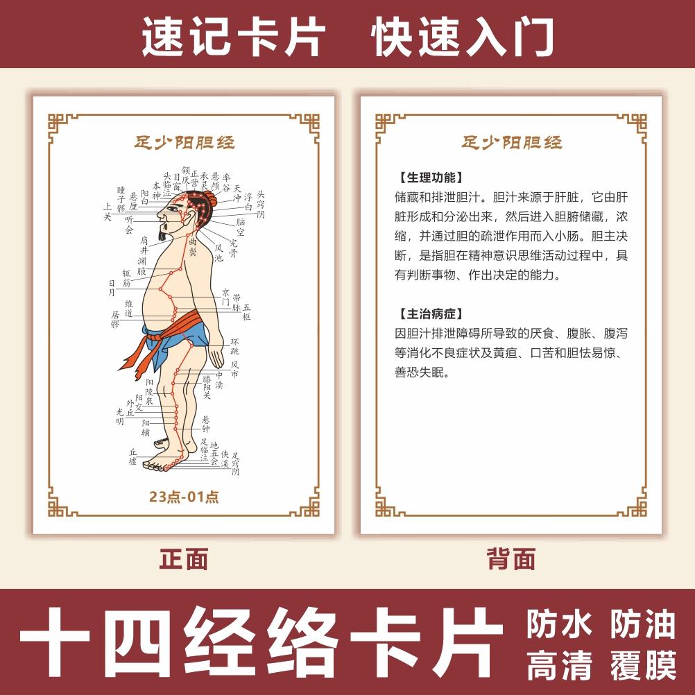 十四经络中医人体学习穴