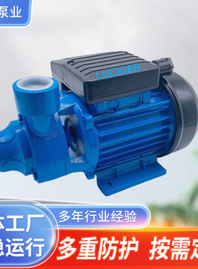 现货批发清水旋涡水泵PM45 PM80铸铁水泵电动家用循环增压泵跨境