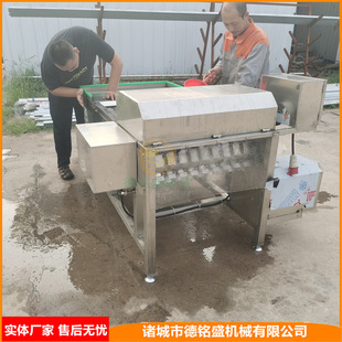 做工好的带鱼切段机厂家 鲜带鱼段切割设备 小型刀鱼分段机